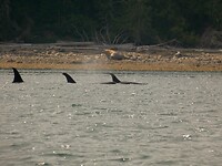 P1020370_b