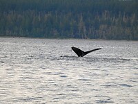 P1020492