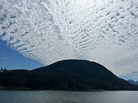 IMG_0721