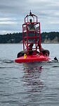 IMG_5825