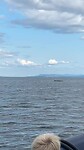 IMG_5837