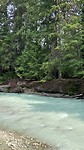 IMG_5990