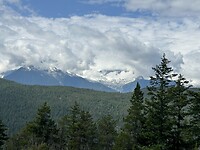 IMG_6005