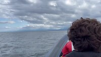 Op de Zodiac …