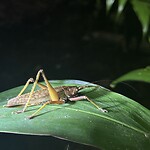 IMG_1573