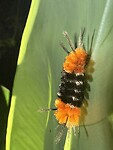 IMG_1553