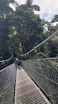 Over de hangbrug
