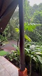 Onze eerste tropische regenbui