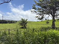 IMG_3067