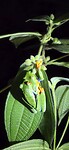 20250716_192210_Original