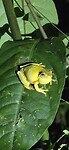 20250716_192252_Original
