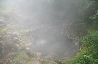 IMGP0507