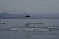 IMGP0711