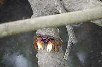 IMGP0933