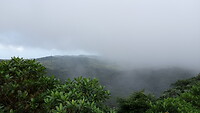 IMG_20250724_083740