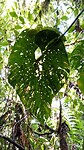 IMG_20250724_110232