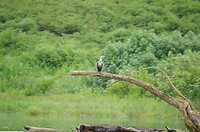 IMGP1180