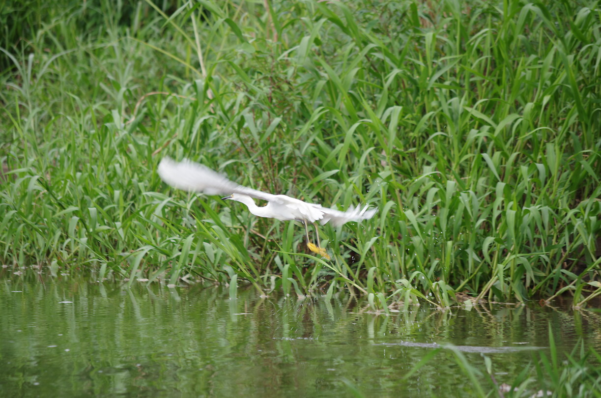 IMGP1068