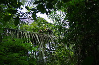 Carara Parque Nacional