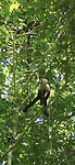 Carara Parque Nacional