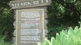 Shark reef....