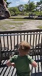 Giraffen voeren in Miami Zoo