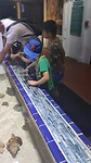 Key West Aquarium