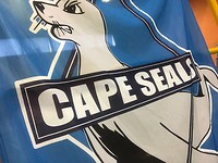 Cape Seals