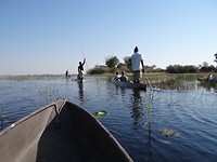 Mokoro tocht