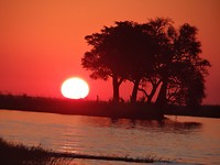 Sunset chobe river