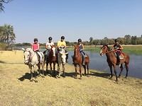 Paardrijden bij Okavango delta