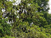 IMG-20190114-WA0094