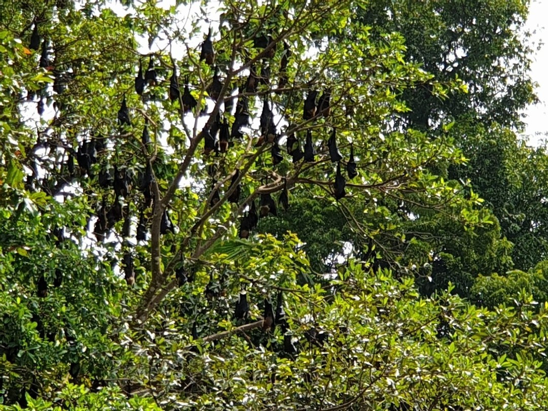 IMG-20190114-WA0094