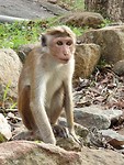 IMG-20190114-WA0138