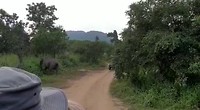 Jeep Safari Sigiriya