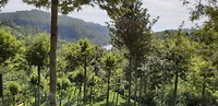 IMG-20190120-WA0029