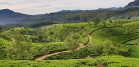 IMG-20190120-WA0008