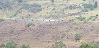 IMG-20190120-WA0042