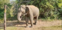 IMG-20190124-WA0015