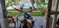IMG-20190124-WA0041