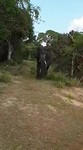 Safaritoer Yala