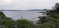 IMG-20190127-WA0049