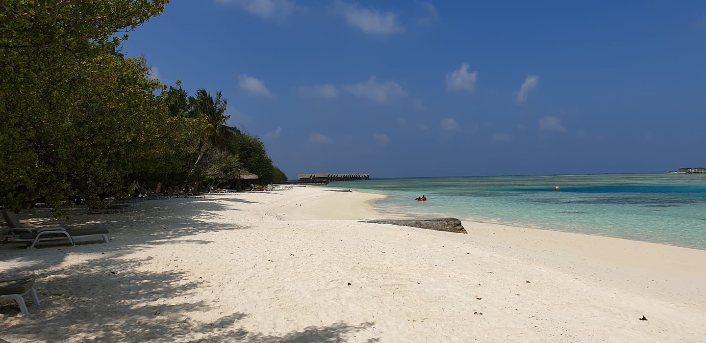 IMG-20190130-WA0035