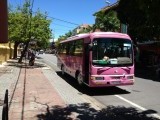 onze roze bus