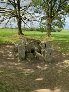 Megalieten