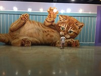 IMG-20180116-WA0000