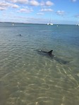 IMG-20180219-WA0004