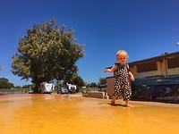 IMG-20180212-WA0001