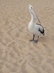 20180219_081343