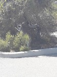 20180211_103025